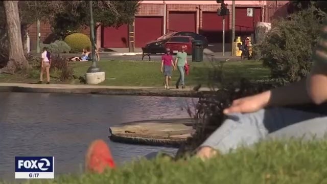 Dry February triggers fears of wildfire season intensity