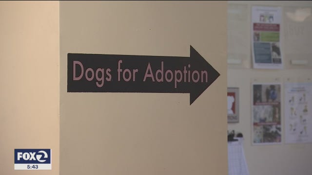 Oakland Animal Services clears space for potential pets of COVID-19 patients