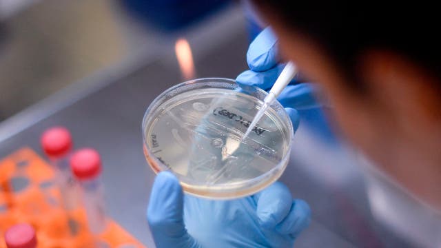 Public health expert says COVID-19 won't be controlled until vaccine arrives