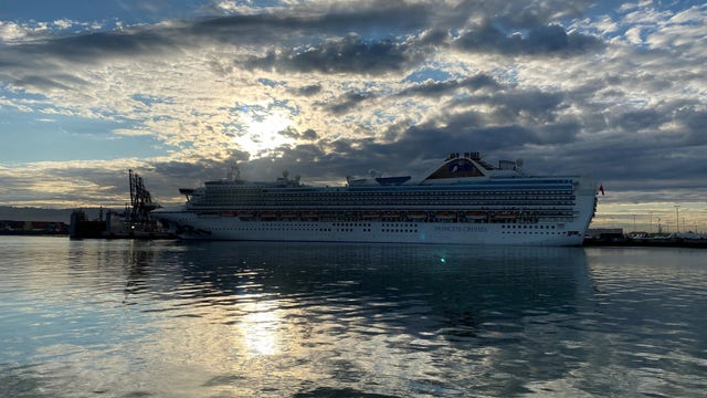 Two Grand Princess passengers die of coronavirus: health officials