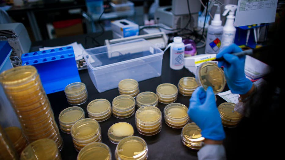 A researcher works in a lab that is developing testing for the COVID-19 coronavirus at Hackensack Meridian Health Center for Discovery and Innovation on Feb. 28, 2020 in Nutley, New Jersey.