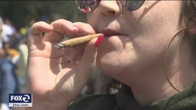 SF's Hippie Hill fenced off for 4/20, party moves online