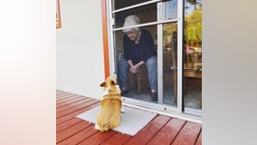 Visit with grandma: San Bruno dog brings comfort during shelter-in-place