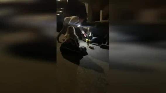 REUNITED: Missing San Francisco dog found four months later in SoCal