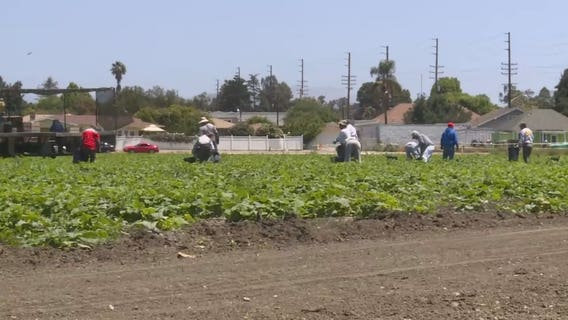 Essential food workers getting 2 weeks of paid leave