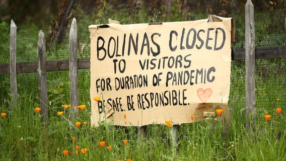 No one tests positive for coronavirus in small California town of Bolinas