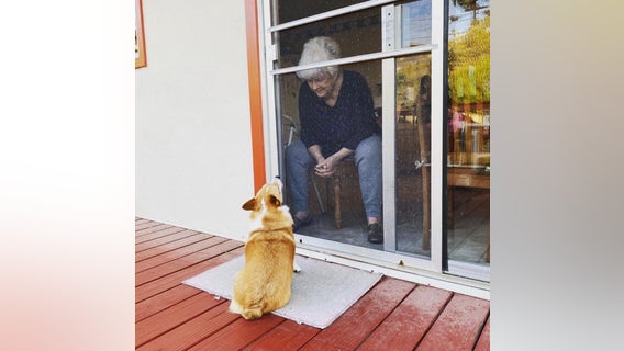 Visit with grandma: San Bruno dog brings comfort during shelter-in-place