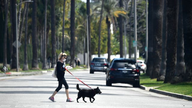 CDC indicates that people can spread novel coronavirus to pets in some situations