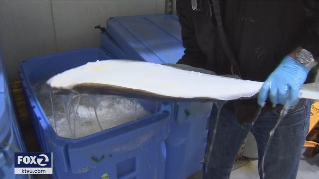 Coronavirus upends San Francisco's fishing industry
