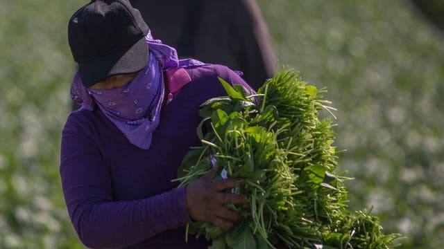 Drought to hit California's rural Latino communities that hardest