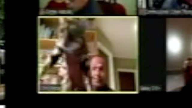 Vallejo planning commissioner resigns after throwing cat during online meeting