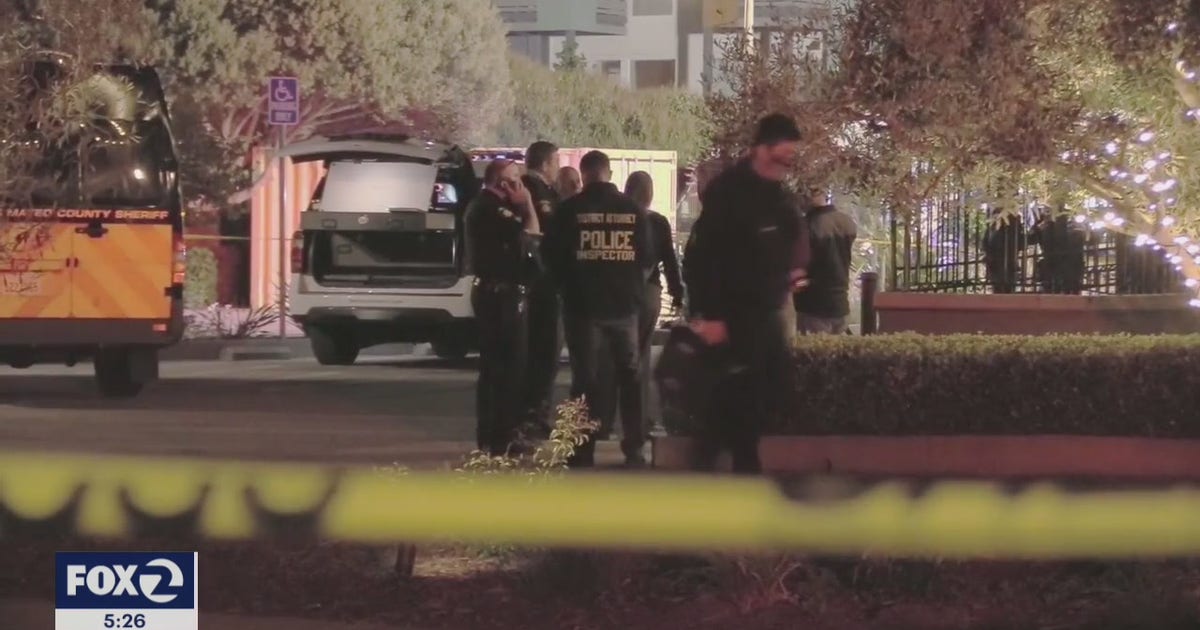 Rash of deadly shootings by police in Bay Area | KTVU FOX 2