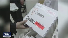 Oakland, San Diego have highest numbers of untested rape kits: AG audit