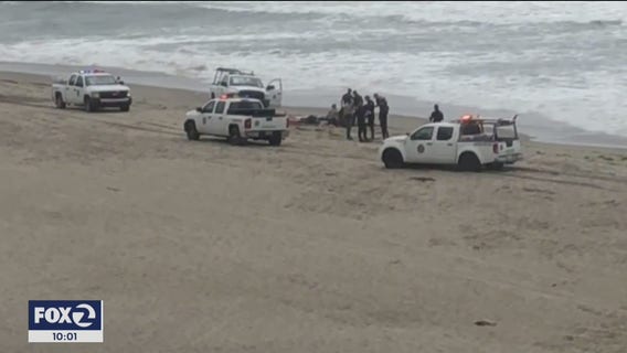 Surfer killed in shark attack off Santa Cruz coast, first fatal incident in state in over eight years