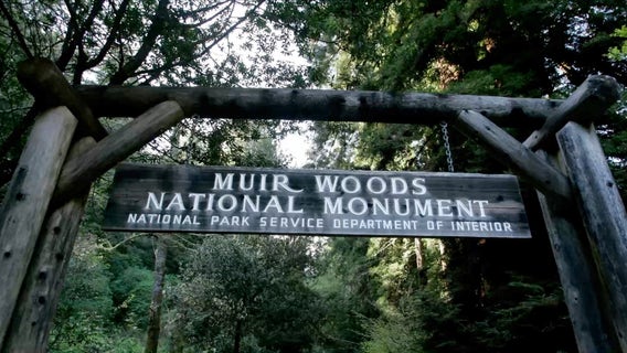 Muir Woods adjusts open hours, reopens some previously closed areas