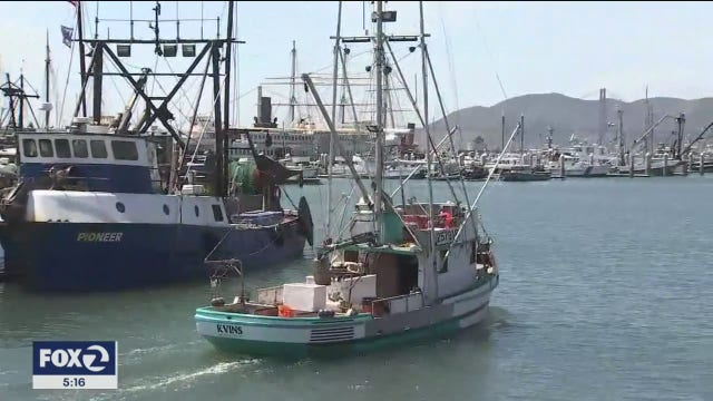 Start of salmon season gives hope to fishing industry crushed by COVID-19