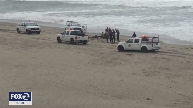 Surfer killed in shark attack off Santa Cruz coast, first fatal incident in state in over eight years