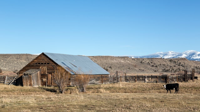 Modoc County defies Newsom's COVID-19 shutdown order and reopens