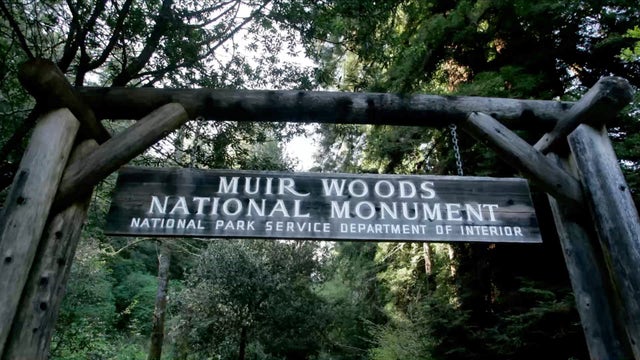 Muir Woods adjusts open hours, reopens some previously closed areas