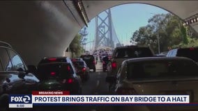 Protesters cleared from Bay Bridge after blocking all westbound traffic for hours