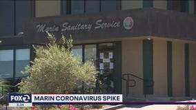 43 Marin Sanitary Service workers test positive for COVID-19; management says outbreak contained