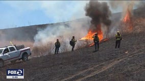 Controlled burn in East Bay hills takes on greater importance amid pandemic