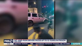 Driver who hit San Jose protesters could face up to 12 years in prison