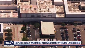 Tesla workers reportedly fired after staying home over fears of contracting COVID-19