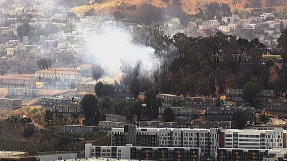 Vegetation fire in San Francisco prompts evacuation order