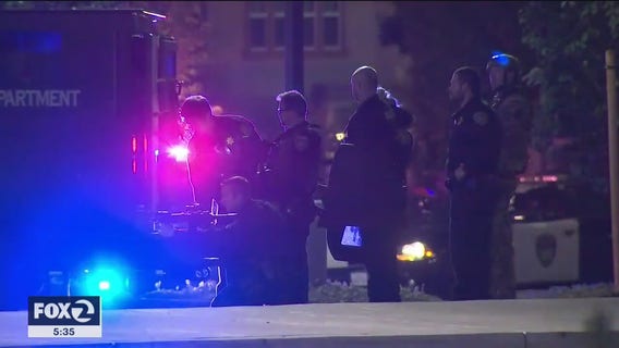 Looting call leads to 3rd shooting involving Hayward police