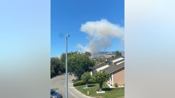 Grass fire reported in Petaluma