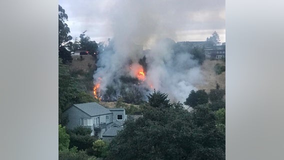 61-year-old man detained after six suspicious Larkspur brush fires