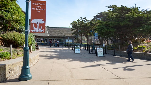 San Francisco Zoo postpones reopening due resurgent virus