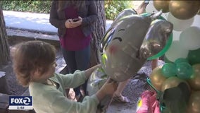 Los Gatos girl gets surprise from Make-A-Wish Foundation after dream trip put on hold