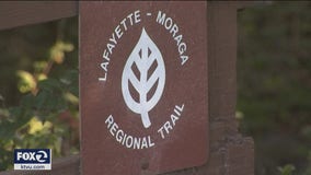 Moraga park closing early Friday due to coyote attack on child
