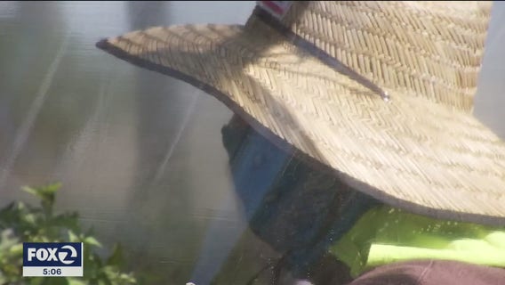 California's Central Valley has disproportionately high coronavirus positivity rates