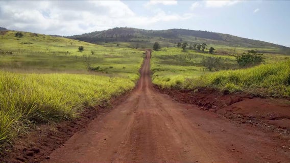 Larry Ellison's indoor greenhouse farm in Hawaii undergoes business changes