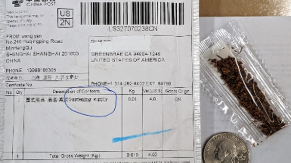 Agricultural officials warn of Chinese mystery seeds showing up in Marin County