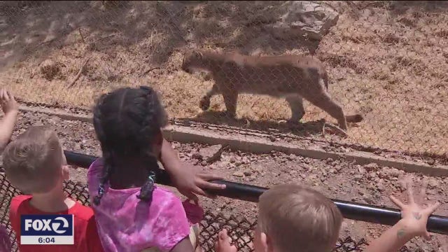 State grants Alameda County permission to open outdoor dining, Oakland Zoo