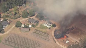 CZU August Fire grows to 25,000 acres, over 22,000 residents evacuated in San Mateo and Santa Cruz counties