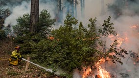 Containment grows, Cal Fire crews remain positive about CZU August Lightning Fire