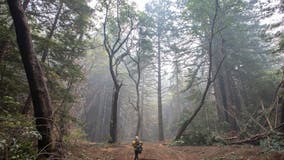 CZU August Lighting Complex Fire: Favorable weather helps firefight in Santa Cruz County