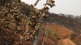 Wildfires again threaten business in California wine country