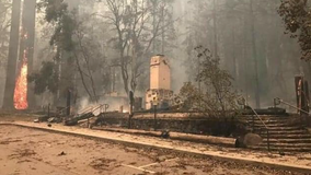 California's oldest state park, Big Basin, suffers extensive damage because of wildfire