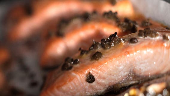 Virus pandemic may contribute to big salmon season in California