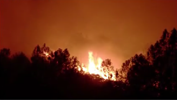 Gov. Newsom declares statewide emergency over wildfires, extreme weather