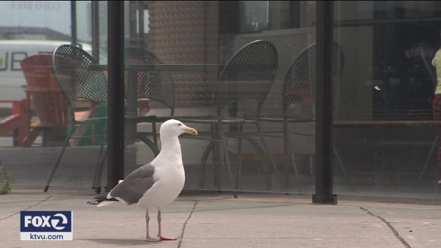 Empty streets of San Francisco: Report says tourism takes hardest hit since WWII