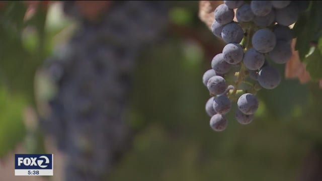 East Bay tasting rooms prepare for Friday’s easing of COVID-19 restrictions