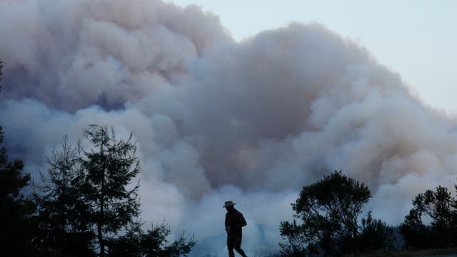 Santa Cruz County tells visitors to leave immediately