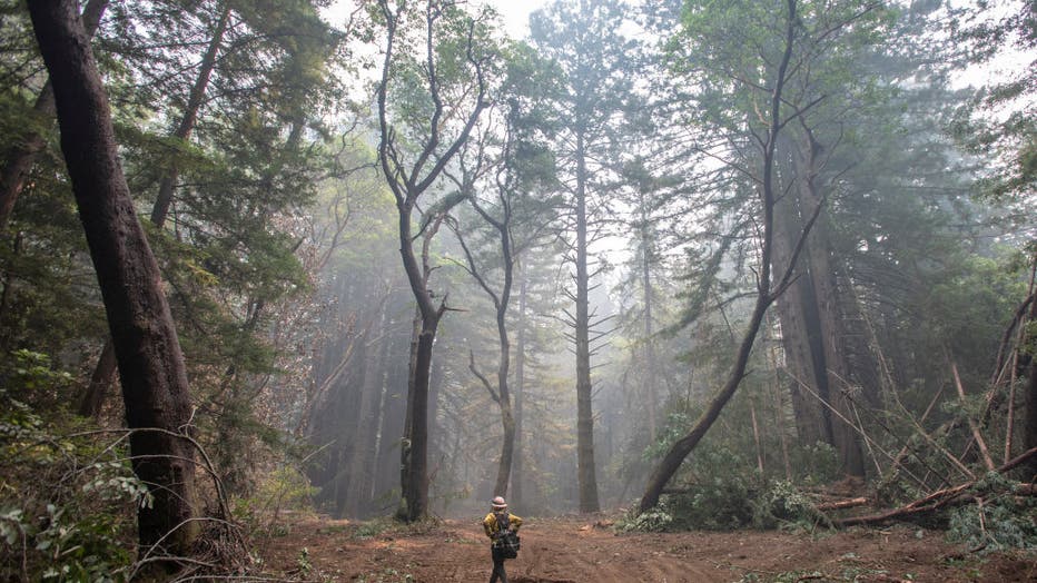 CZU August Lighting Complex Fire Favorable weather helps